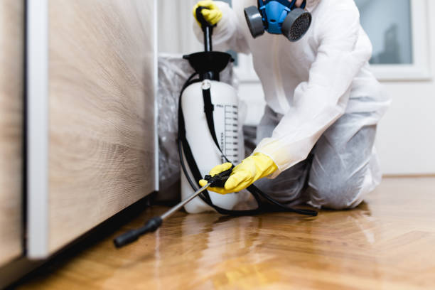 Best Commercial Pest Control Services  in Webster, TX