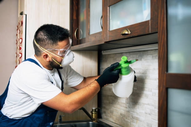 Best Emergency Pest Control  in Webster, TX