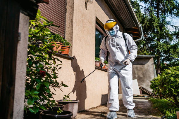 Best Bed Bug Extermination  in Webster, TX