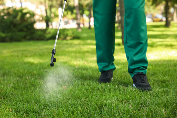 Best Exterminator Services  in Webster, TX