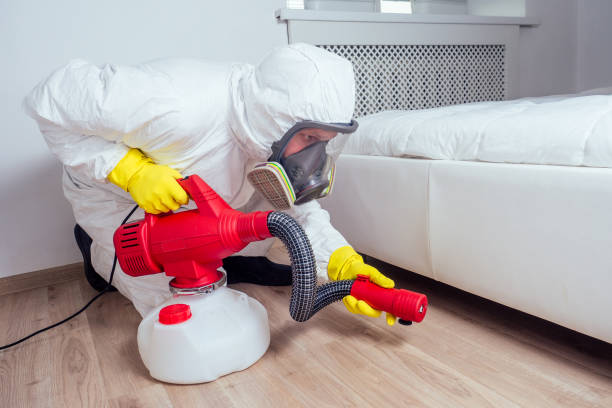 Best Pest Prevention Services  in Webster, TX