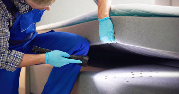 Trusted Webster, TX Pest Control Experts