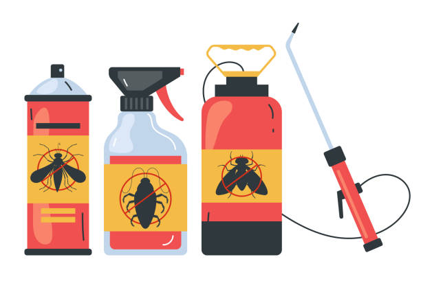 Best Pest Control Near Me  in Webster, TX