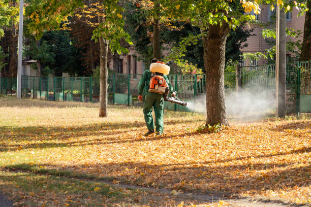 Best Pest Prevention Services  in Webster, TX