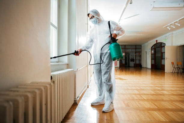 Best Local Pest Control Services  in Webster, TX